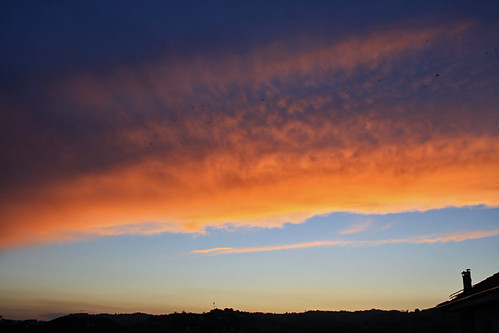 sunset sky birds clouds italia tramonto nuvole uccelli cielo alessandria ovada