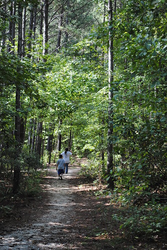 trees nature ecology kids path alabama auburn preserve auburnuniversity louisekreher