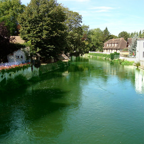 france green river europe vert rivière normandie normandy eure rives hautenormandie pacysureure valléedeleure michelemp fleursetpaysages