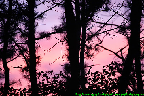 ny places east patchogue sunsetssunrisesgregcristman gregcphotographysunsetssunrises