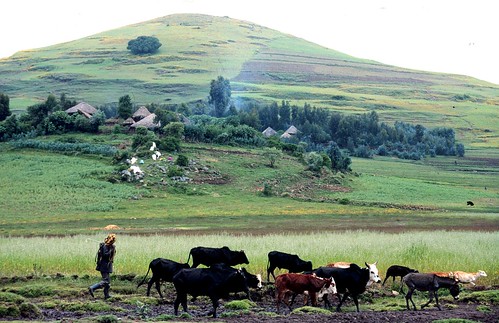 Farming in the highlands of Ethiopia