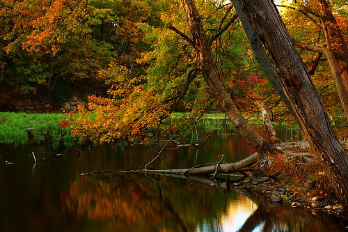 autumn reflection water canon landscape 50mm newjersey nj parks sigma 400d