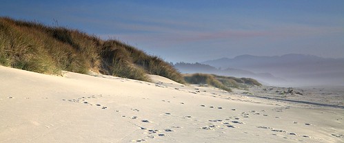 ocean sky beach oregon fire sand smoke dunes tracks footprints pacificocean controlledburn pacificcity beachgrass