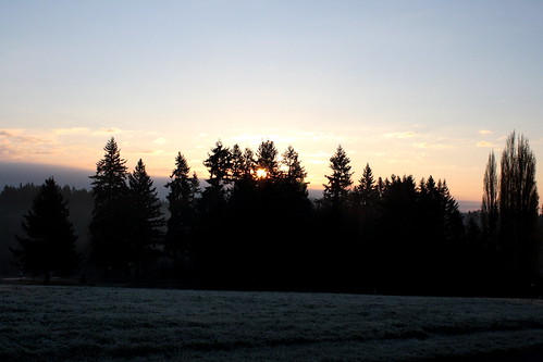 trees winter sky fall nature field grass sunrise outside outdoors frost outdoor country wsu wsuv vancouverwa