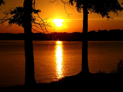trees sunset lake reflection water texoma