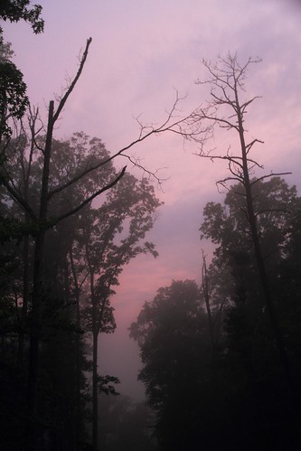 sunset fog landscape