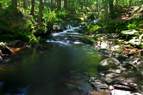 summer green water stream plainfieldmassachusetts