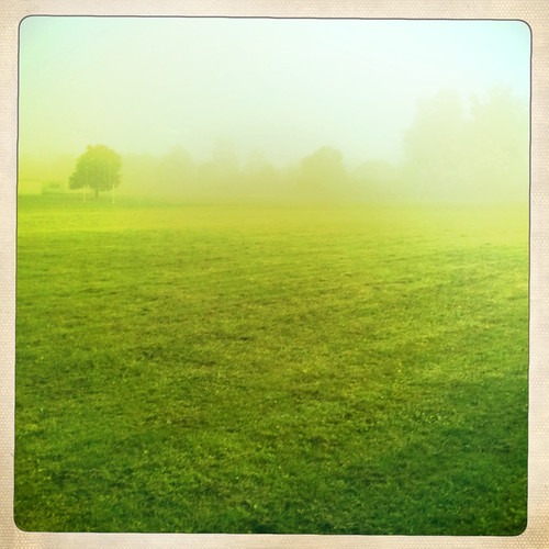 morning mist field grass fog iphone ancaster grahamtaylor hipstomatic