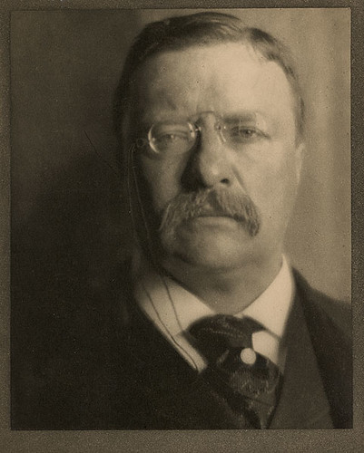 Theodore Roosevelt, by Alvin Langdon Coburn 1907