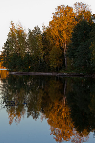 lake birch autumncolor canoneos5dmarkii
