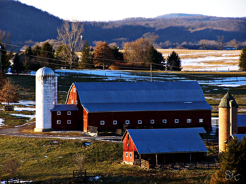 red wild snow west tree barn wonderful landscape virginia january line hills lewisburg