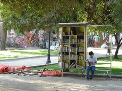 Lectura en el parque