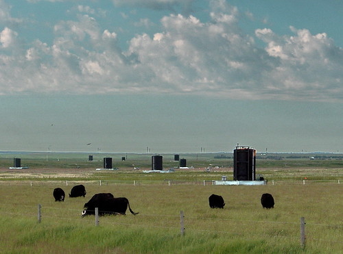 blue canada black color colour green industry animal industrial cattle farm oil sk prairie saskatchewan agriculture 2010 swiftcurrent canadagood thisdecade