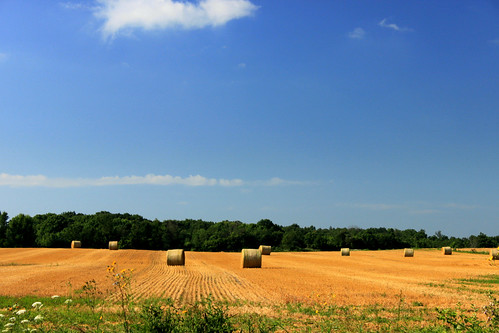 blue summer sky nature field landscape michigan farm july round land bales staw