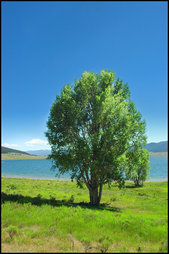 blue lake newmexico tree green circle niceshot lone nm enchanted eaglenest
