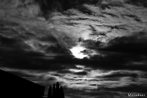 trees blackandwhite rooftop clouds sunrise sandiego wires grayday chiefblue86 marabeas