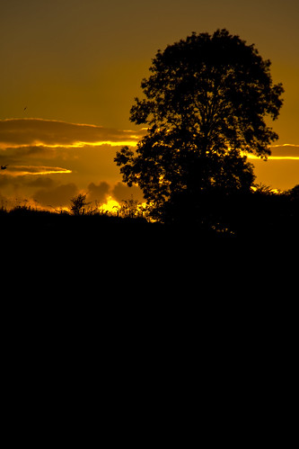 county ireland sunset fenagh carlow