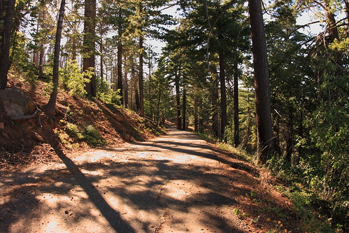 california park trees mountain nature geotagged view state peak hike vista rancho cuyamaca geo:lat=329479754000013 geo:lon=116604143633334