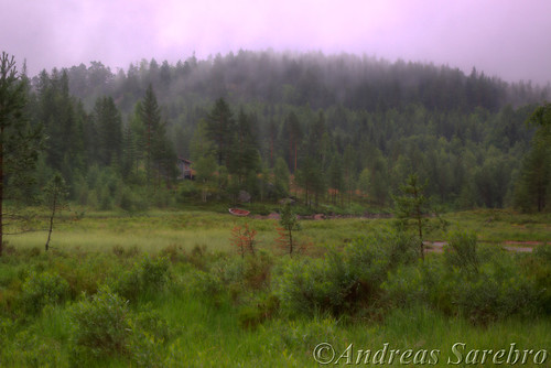 house mountain tree water grass norway fog boat forrest hdr gautefall