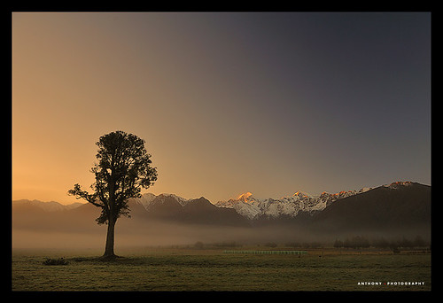 morning blue newzealand sky orange snow tree green grass sunrise clear foxglacier mtcook southisland mttasman