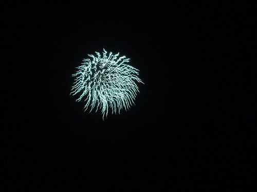 Sky Jelly Fish Firework