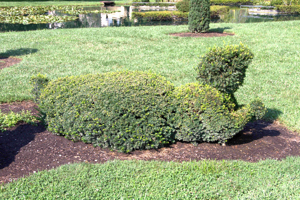 Img 9498 1 Topiary Garden Columbus Ohio Grafxmangrafxman Flickr
