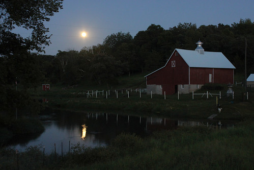 moon reflection night barn rural landscape pond farm goat barnyard rochester52weeks