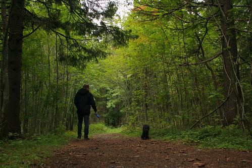 portrait dog selfportrait adam me forest geotagged europe sweden path walk skandinavien harnosand august poodle sverige scandinavia timer 2010 norrland härnösand northerneurope thespot vasternorrland angermanland vasternorrlandslan västernorrland geo:lon=179781 geo:lat=626265 västernorrlandslän ångermanland