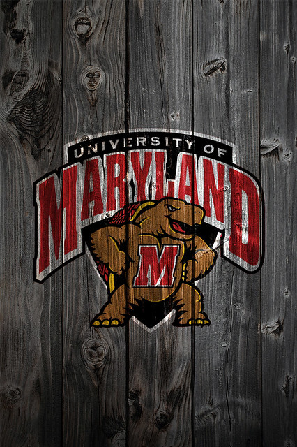 Maryland Terrapins Wood iPhone 4 Background  Flickr 