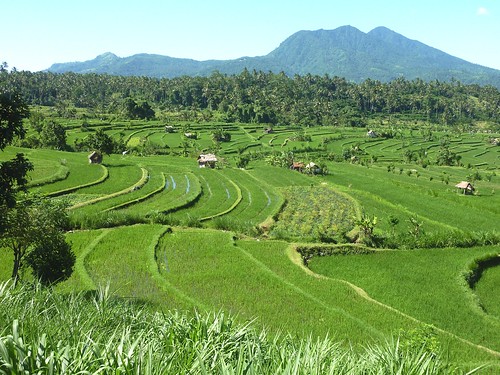 Bali-Tirtagangga (34)