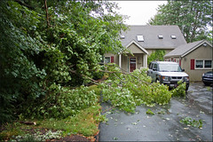 Trees Down in Bedford