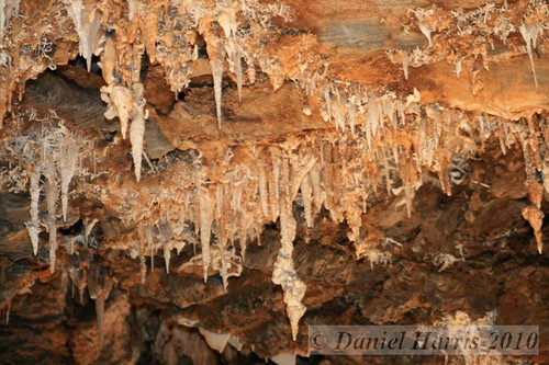 caves caverns stalactite cccp helictite speleothems blackchasmcavern
