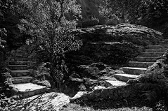 Steps, Roquebrune-sur-Argens