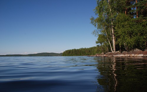 summer water forest suomi finland relection mick dunne lakepäijänne mickdunne