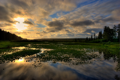 blue trees sunset summer usa green water alaska clouds photography nikon hdr yakutat nathangale photomatix nikond40x