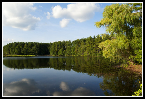 trees lake reflection nature water clouds landscape pond massachusetts newengland willow weepingwillow