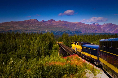 alaska bluesky train bridge mountains flowers alaskarailroad landscape