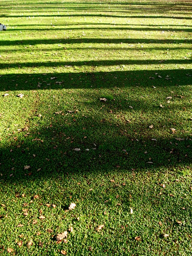 naturaleza pilar pasto invierno sombras cesped laperegrina