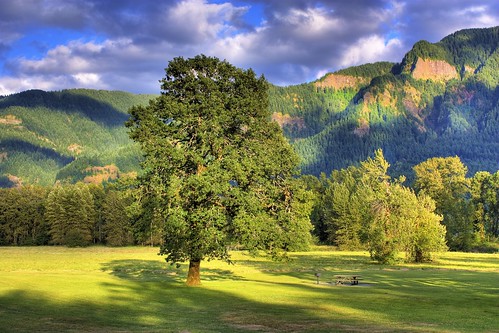 park mountains tree field rock canon river bench landscape rebel picnic state columbia gorge barbeque beacon hdr xsi