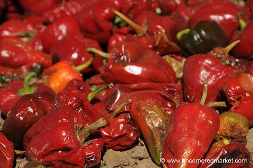 argentina peppers salta cachi chilies northernargentina roastingchilies