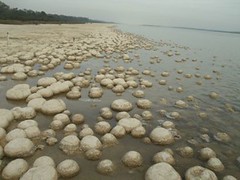 stromatalites, living rocks