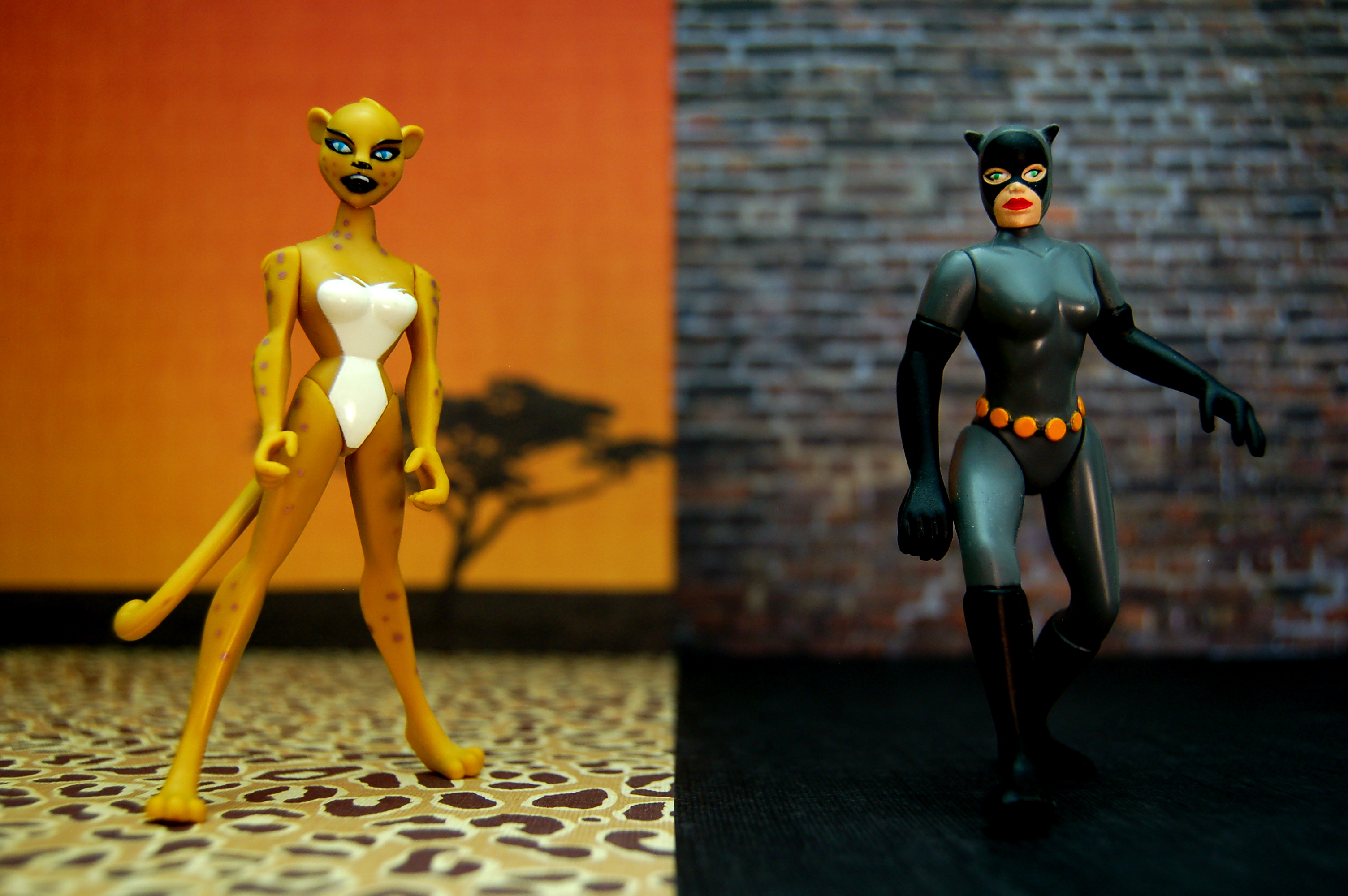 Cheetah vs. Catwoman (221/365) | Flickr - Photo Sharing!