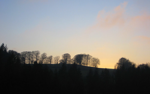 trees sunset scotland february 2008 newlanark