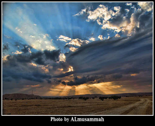 road light sunset sky cloud sunlight tree landscape desert saudiarabia canong7 desertsunlight riyadhcity