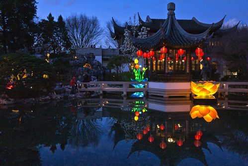 lansu chinese garden portland oregon night dusk lanternviewing pond reflection