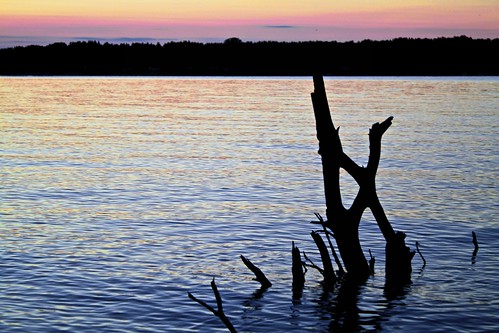 sunset lake photoshop aperture colours horizon driftwood