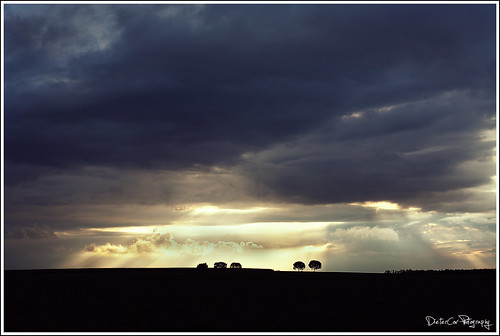light tree silhouette clouds canon landscape 85mm divine 5d landschap mark1 wommersom 365days linter