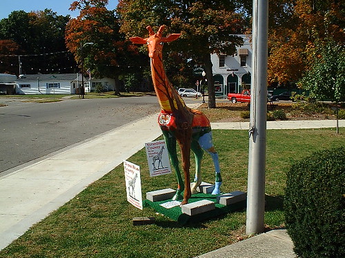 county community indiana newport giraffe vermillion