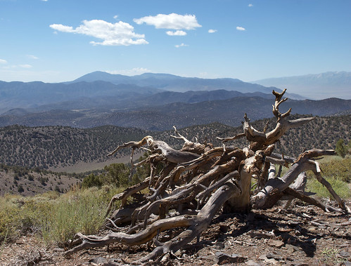 california summer sky white mountains nature clouds landscape photo dry whitemountains photograph highdesert vista overlook fallentree bristlecone 2010 greatbasin inyo inyonationalforest inyocounty 10000ft bristelconepine kghofsf ancientbristleconescenicbyway