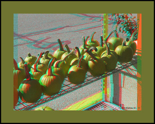 autumn fall outside outdoors stereoscopic 3d md display brian pumpkins maryland anaglyph stereo wallace pasadena depth stereoscopy stereographic brianwallace stereoimage stereopicture